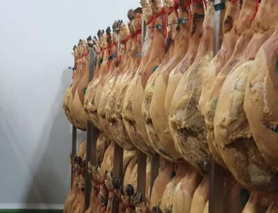 La Rioja: Jamon Iberico Farm Tour and Tasting with Wine