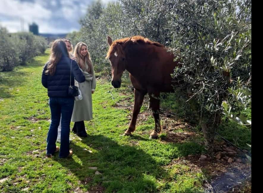 La Rioja: Jamon Iberico Farm Tour and Tasting with Wine - Is $146 a fair price?