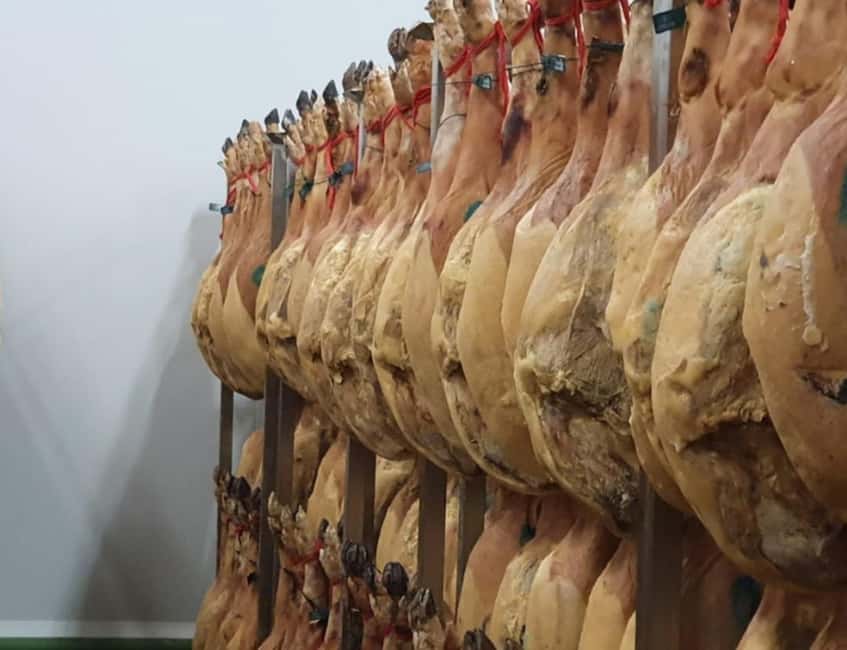 La Rioja: Jamon Iberico Farm Tour and Tasting with Wine - Olive groves, cereal fields, and the feed mill