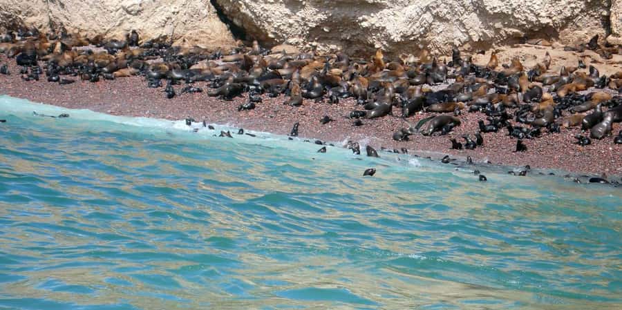 Lagos/Praia da Luz: Wine Tour, Tastings, Tapas, and Music - The tasting schedule: 80 minutes of food, wine, and conversation