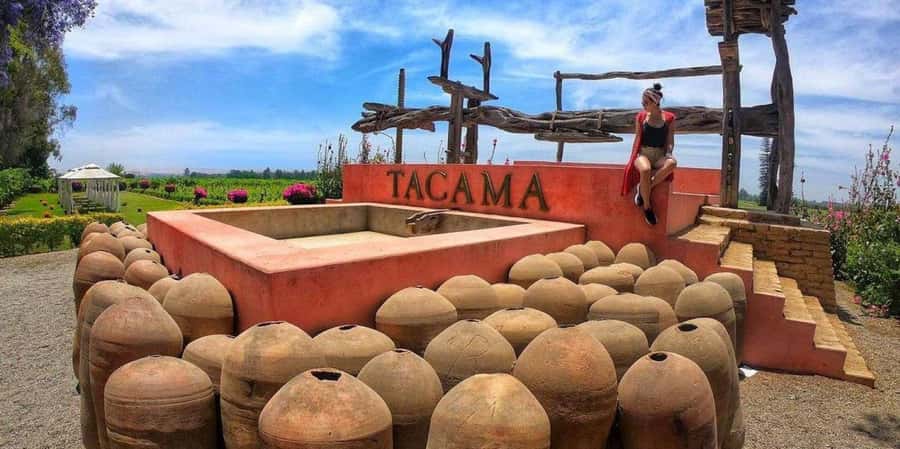 Lagos/Praia da Luz: Wine Tour, Tastings, Tapas, and Music - Buying Algarve wine and regional products