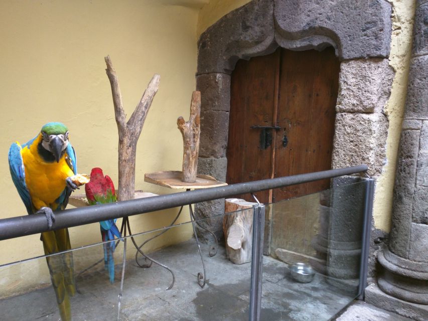 Las Palmas: Private Old City Guided Walking Tour with Tapas - The Cathedral and Columbus House