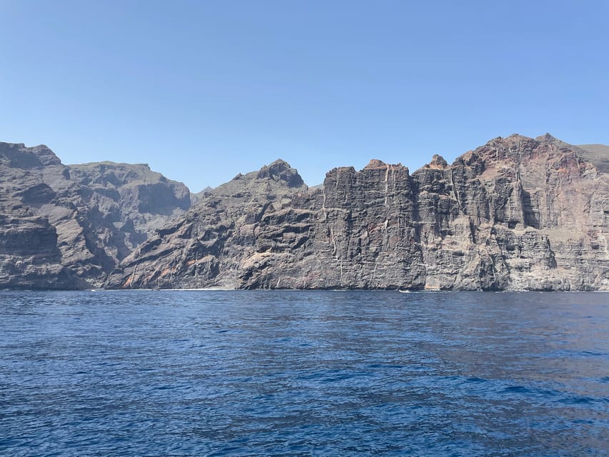 Los Gigantes: Private Sailing Tour with Swim, Drink, & Tapas - Whale and dolphin watching along Tenerife’s coast