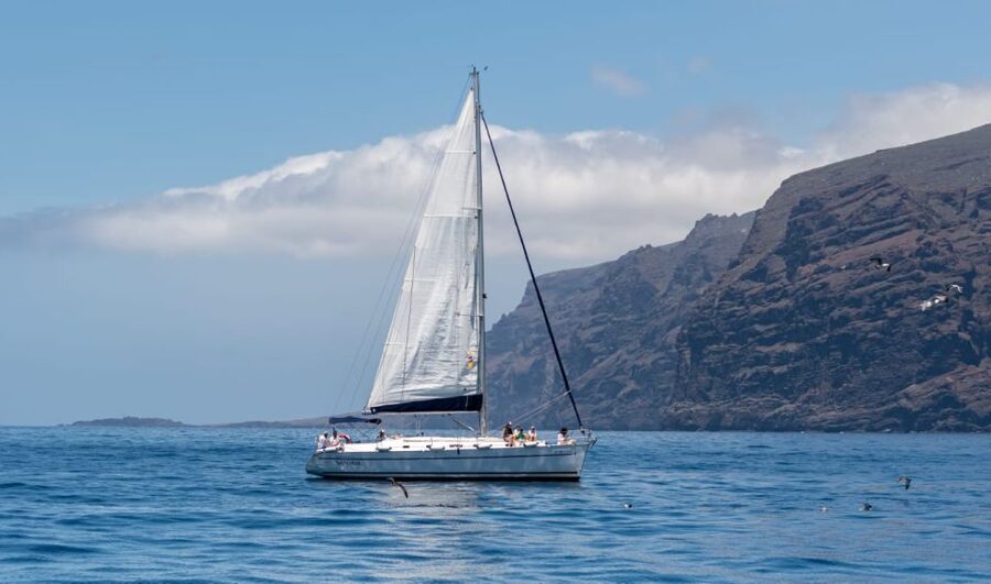 Los Gigantes: Sailing Excursion with Swimming, Drink & Tapas - Key points to know before booking