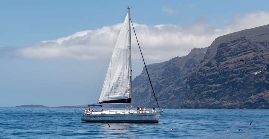 Los Gigantes: Sailing Excursion with Swimming, Drink & Tapas - Watching for pilot whales and dolphins offshore