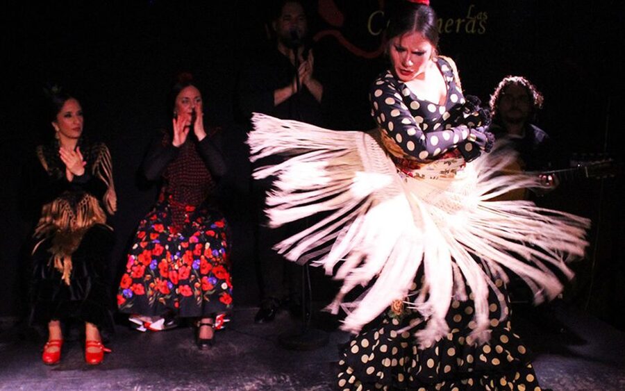 Madrid: Flamenco Show with Tapas and Wine Tour - Key details to know before you book