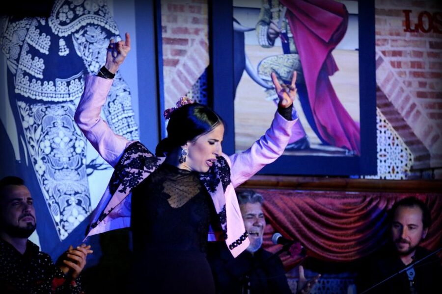 Madrid: Los Porches Flamenco Show with Tapas and Wine Ticket - Key points to know before booking