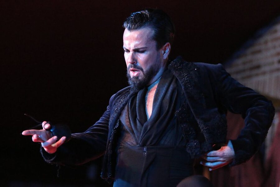 Madrid: Los Porches Flamenco Show with Tapas and Wine Ticket - Should you book this flamenco show?