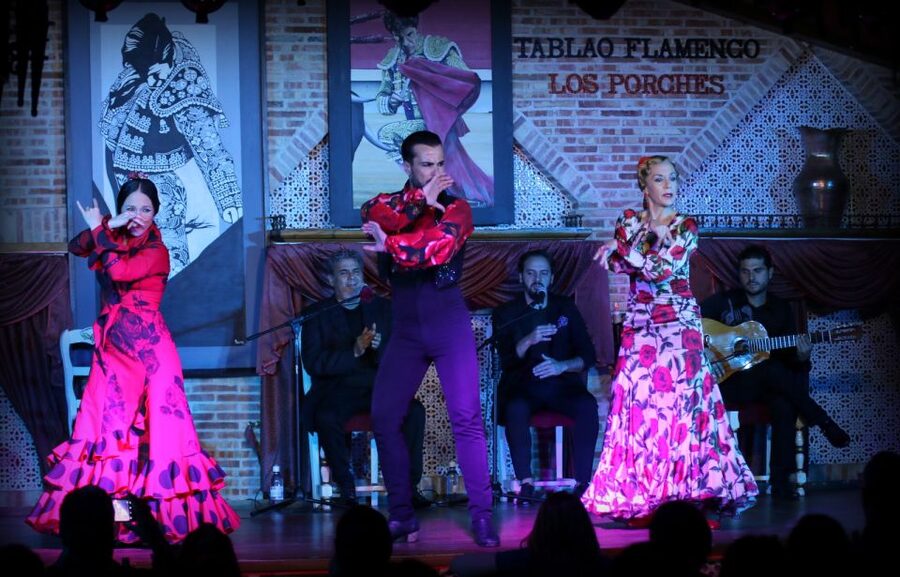 Madrid: Los Porches Flamenco Show with Tapas and Wine Ticket - Is $53 a fair price?