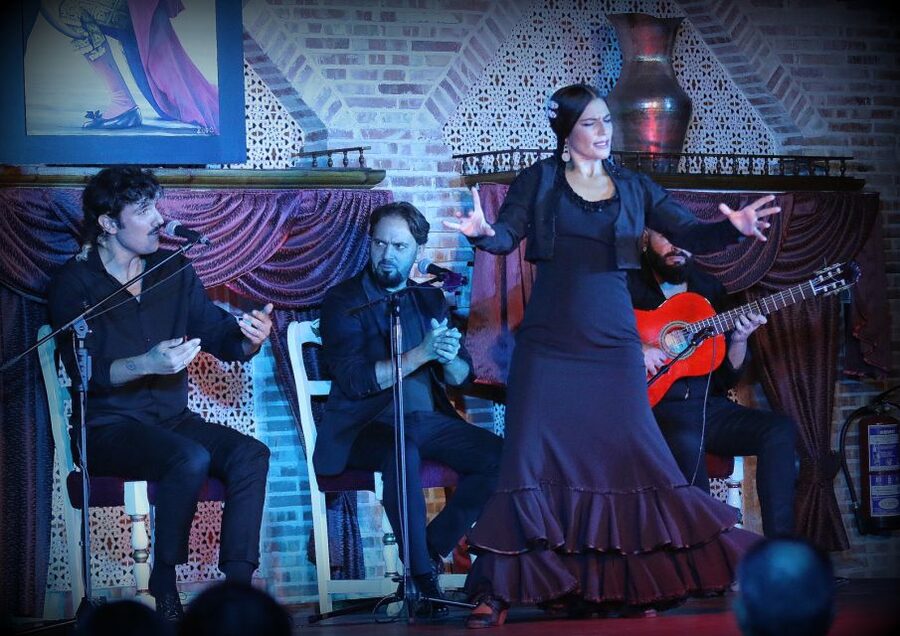 Madrid: Los Porches Flamenco Show with Tapas and Wine Ticket - Who will enjoy Los Porches most?