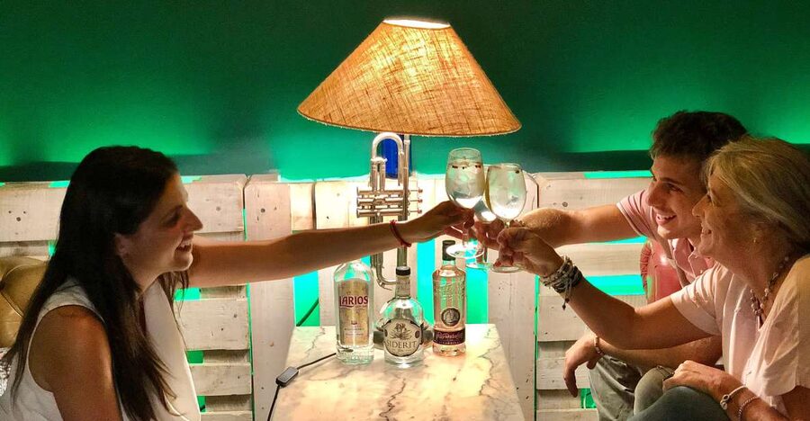 Madrid: San Miguel view Gin and Tonic Workshop with Tapas - What happens when you arrive at El Tinterillo de Malaga