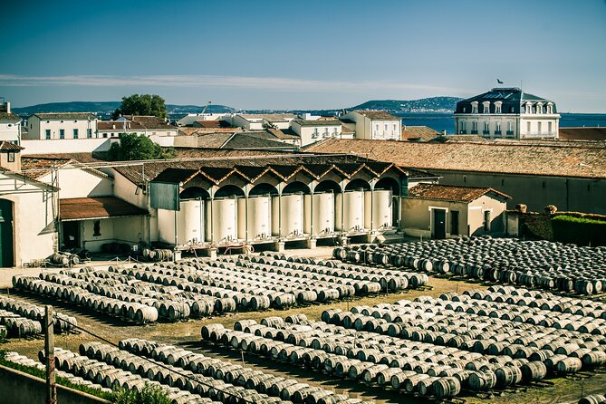 Maison Noilly Prat VIP tour, wine and vermouth tastings - Key points at a glance