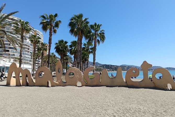 Malaga Bike Tour - Wine & Tapas - What the guide can add to the experience