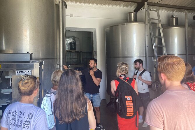 Malaga Organic Vineyard and Winery Six Wines Tapas and Transfer - From Plaza de la Marina to the Malaga countryside