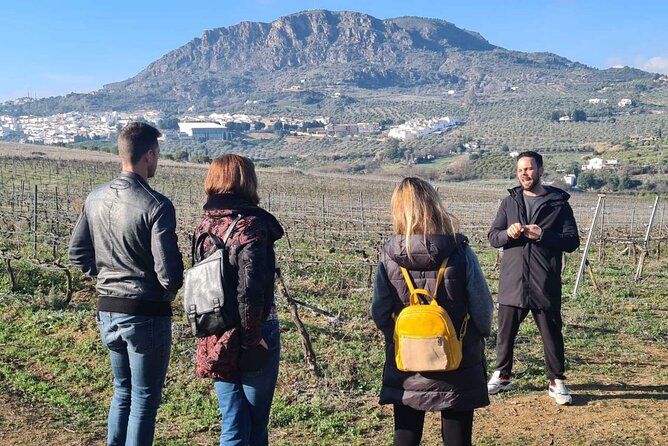 Malaga Organic Vineyard and Winery Six Wines Tapas and Transfer - Timing, meeting point, and cancellation details