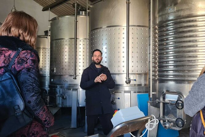 Malaga Organic Vineyard and Winery Six Wines Tapas and Transfer - Who will enjoy this Malaga wine outing?