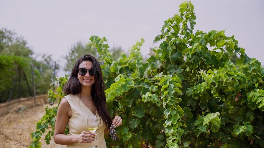 Malaga: Organic Vineyard Tour with 6 Wines, Tapas & Transfer - Key points to know before booking