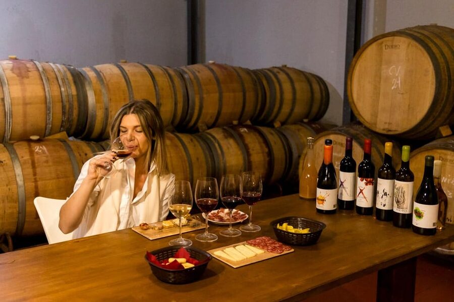 Malaga: Organic Vineyard Tour with 6 Wines, Tapas & Transfer - Why this Málaga wine tour feels different