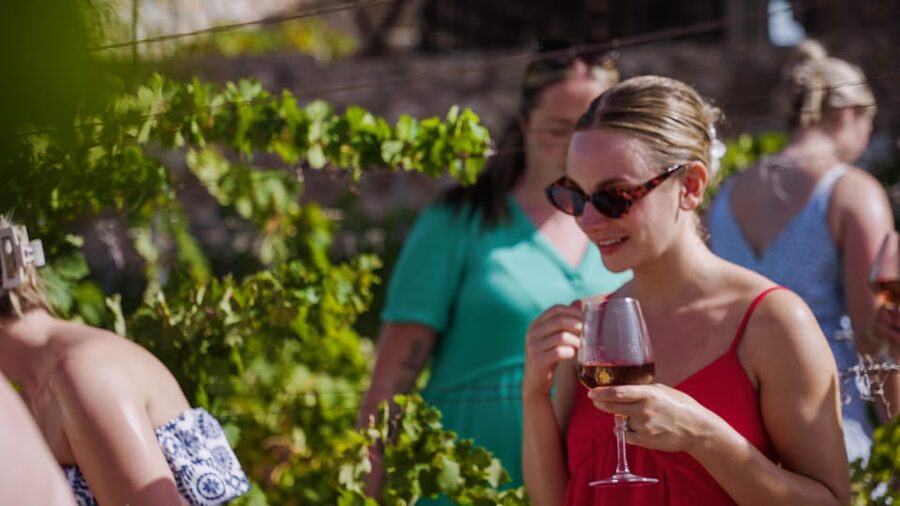 Malaga: Organic Vineyard Tour with 6 Wines, Tapas & Transfer - Walking through Viñedo Malvajio