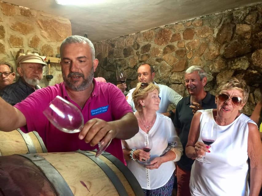 Malaga: Organic Vineyard Tour with 6 Wines, Tapas & Transfer - Tapas that make the tasting into lunch