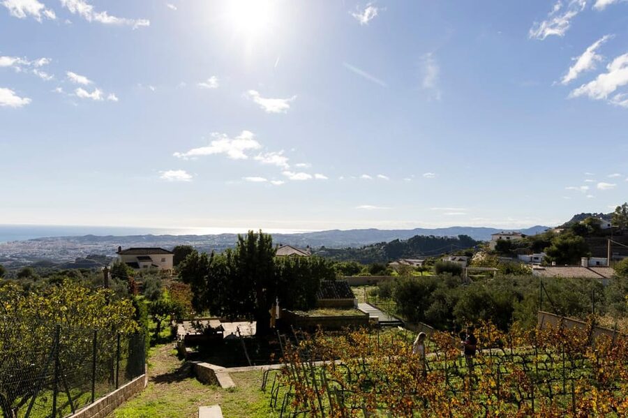 Malaga: Organic Vineyard Tour with 6 Wines, Tapas & Transfer - Timing, group size, and the real value of $112