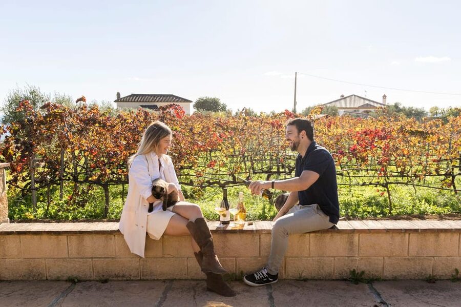 Malaga: Organic Vineyard Tour with 6 Wines, Tapas & Transfer - Should you book the Malvajio wine tour?