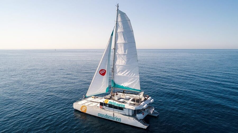 Malaga: Sailing Catamaran with Swimming and Paella Lunch - Is $53 Good Value for Three Hours?