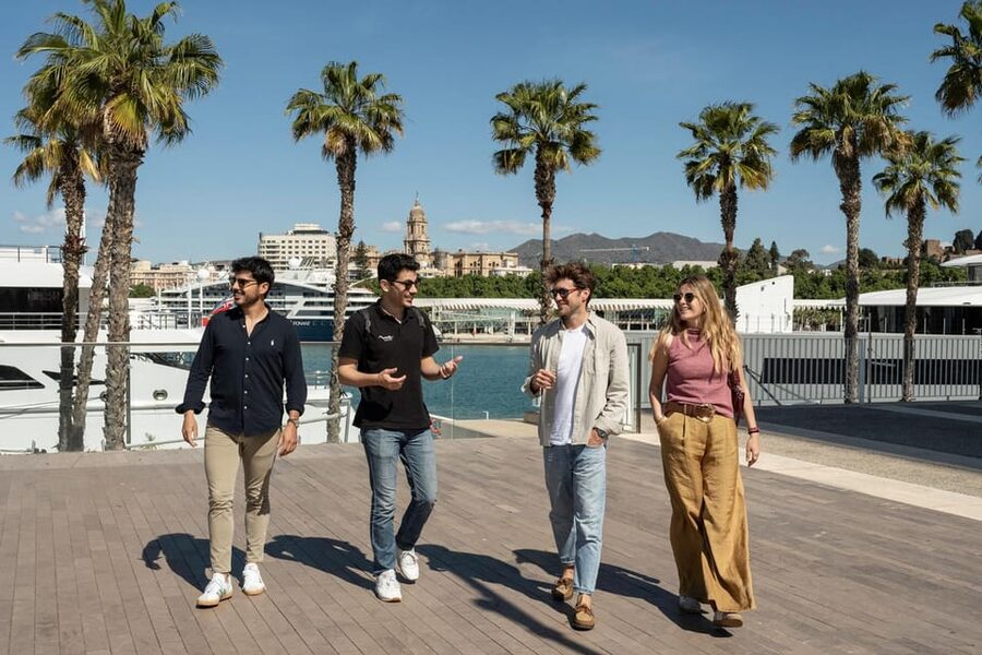 Málaga: Tapas, Wine & Rooftops Private Tour - How much food and wine do you get?