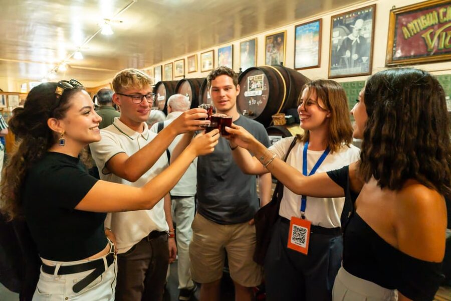 Malaga: Wine and Tapas Tour with Tastings and Drinks - Guides and the value of local explanation