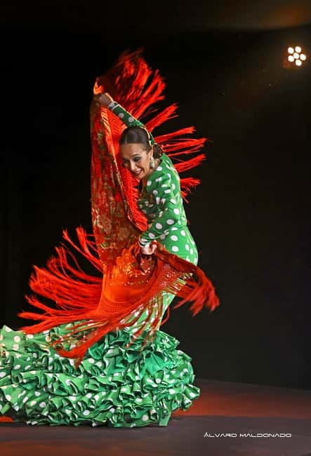 Mallorca: Flamenco Show at Tablao Flamenco Alma with Paella - What arrives on the paella menu