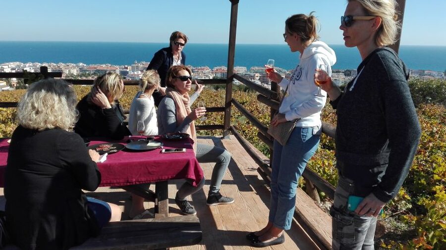 Manilva: Nilva Vineyard, Wine Tasting & Tapas Guided Tour - Why Manilva’s vineyards matter