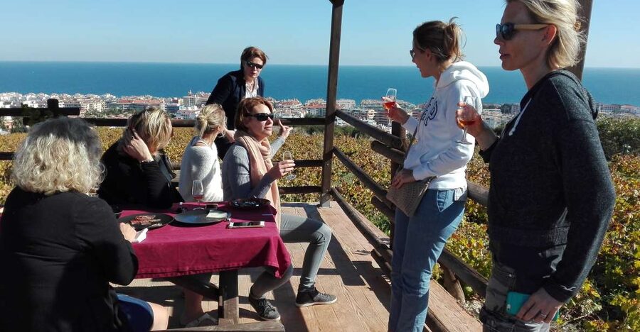 Manilva: Nilva Vineyard, Wine Tasting & Tapas Guided Tour - Getting to Viña del Peñoncillo