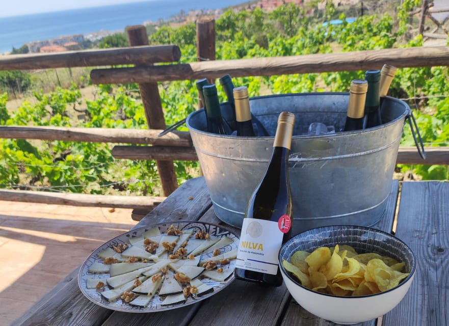 Manilva: Nilva Vineyard, Wine Tasting & Tapas Guided Tour - Is $35 good value?