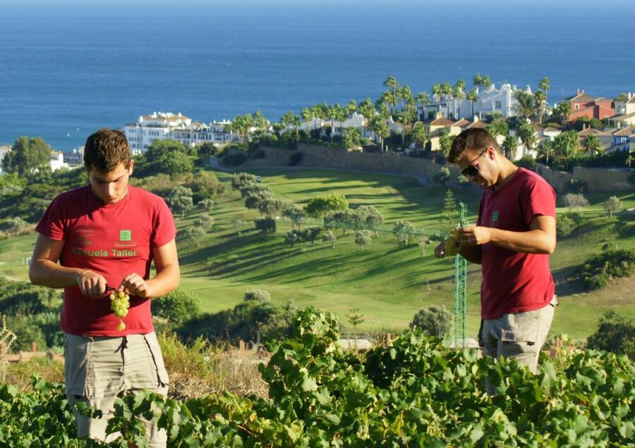 Manilva: Nilva Vineyard, Wine Tasting & Tapas Guided Tour - Inside the small Nilva winery
