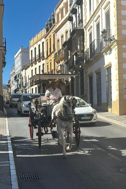 Marbella/Estep. Private VIP-Tour Ronda incl. Tapas & Drinks - Why a private trip changes your Ronda visit