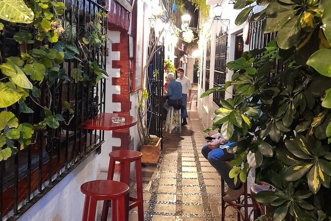 Marbella Tapas Tour - Drinks, jamón, and the value of a guide