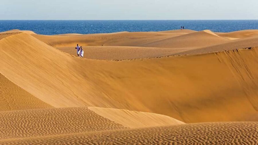Maspalomas: Southern Coast E-Bike Tour Option Tapas Tasting - Key points to know before booking