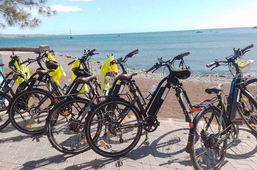 Maspalomas: Southern Coast E-Bike Tour Option Tapas Tasting - Who will enjoy this ride most