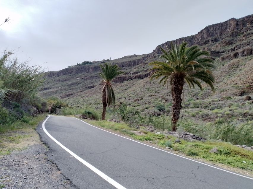 Maspalomas: Southern Coast E-Bike Tour Option Tapas Tasting - Meloneras, Pasito Blanco, and the ocean air