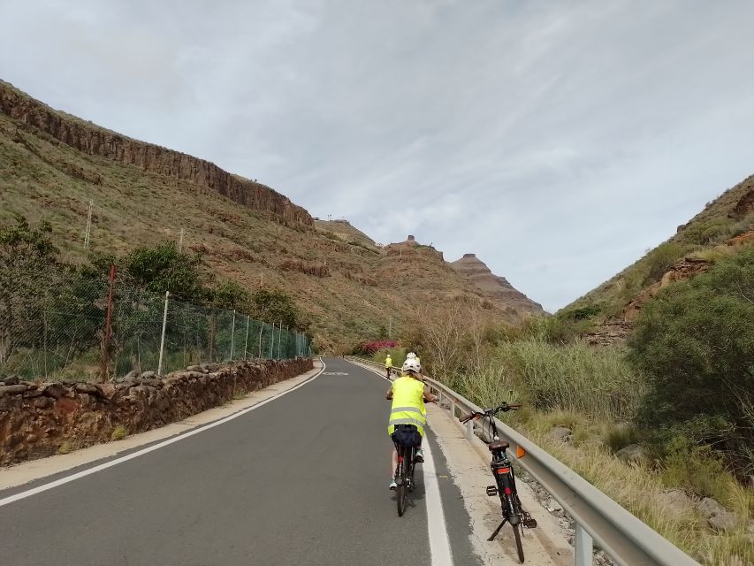 Maspalomas: Southern Coast E-Bike Tour Option Tapas Tasting - A rare southern banana plantation