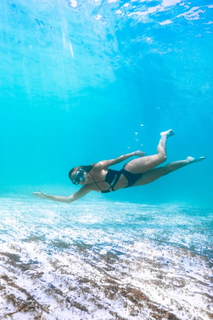 Menorca: Coves and Beaches Boat Trip w/ optional Paella - Who will enjoy this boat trip most?