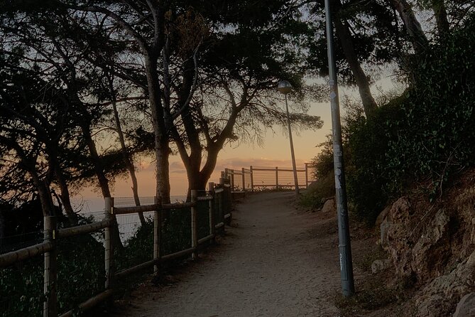 Montjuïc Magic: Hidden Pathways, Vermut Delights & Sunset Bliss - Who should book this experience