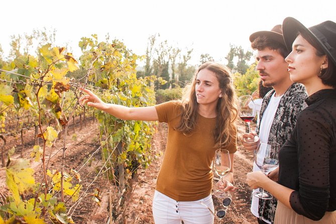 Montserrat & Cogwheel Train, Gourmet Wine Tasting & Tapas/Lunch - Who will get the most from this experience