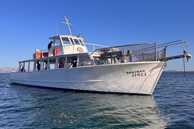 Morning Boat Trip in Alcudia with Swim Stop & Tapas - Mallorcan Tapas After the Swim