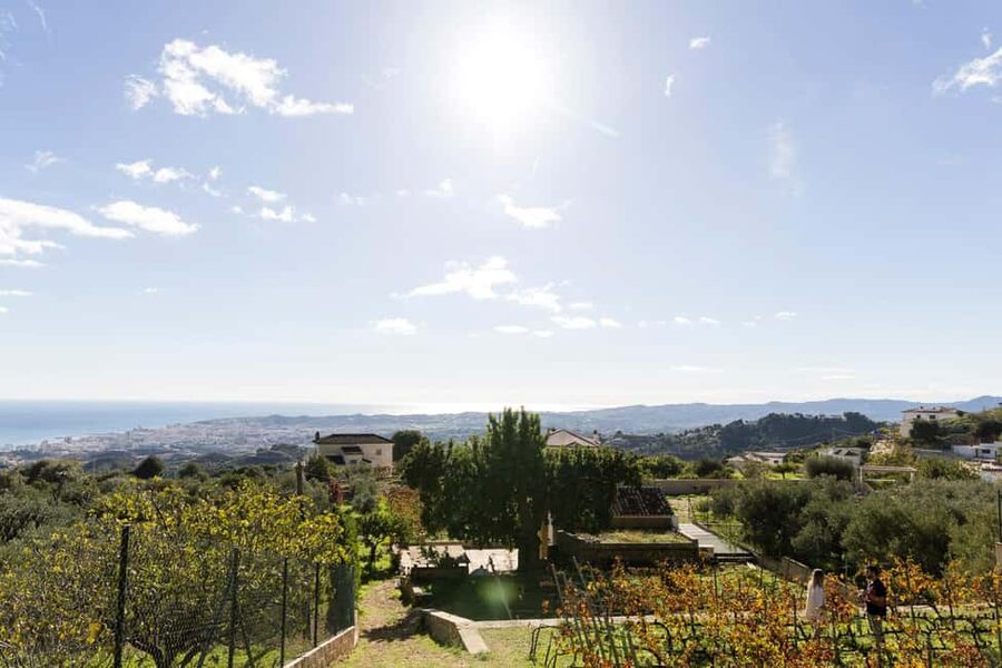 Near Malaga: Mijas Organic Vineyard, 5 Wines, 2 Oils & Tapas - Arriving at Antonio’s hillside vineyard