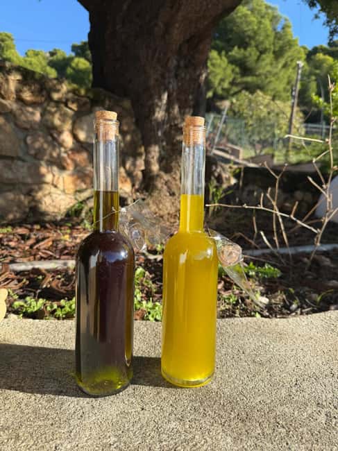 Near Malaga: Mijas Organic Vineyard, 5 Wines, 2 Oils & Tapas - Five natural wines, with seasonal surprises