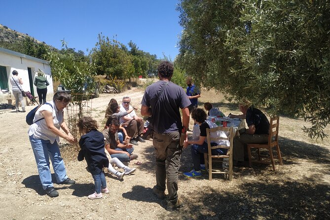 Organic Iberian Ham, farm visit and premium tasting! - A 4x4 ride through the different farm sections