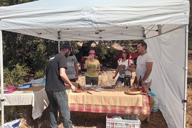Organic Iberian Ham, farm visit and premium tasting! - What the $80.98 price really covers