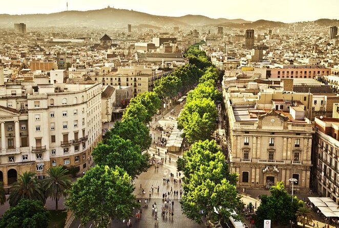 Paella Class & Bottomless Wine: Las Ramblas Views - Key points to know before booking