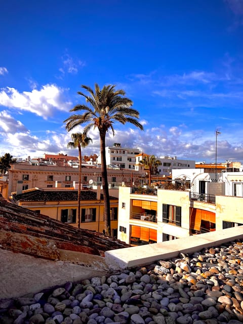 Palma authentically. Small group City tour with tapas - Palma through food, stories, and side streets